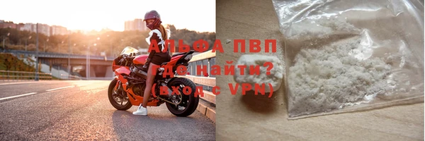 стаф Алексин