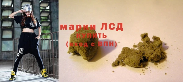 стаф Алексин