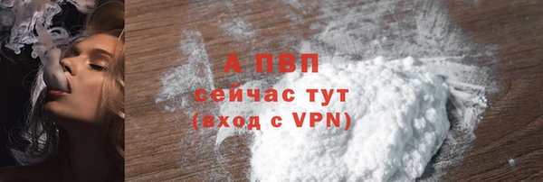 стаф Алексин