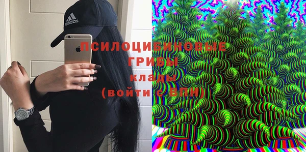 стаф Алексин