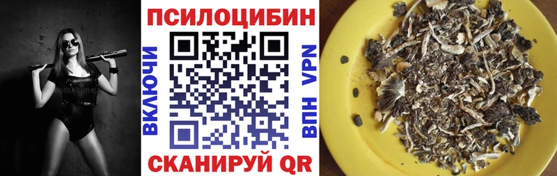 Галлюциногенные грибы прущие грибы  Фатеж 