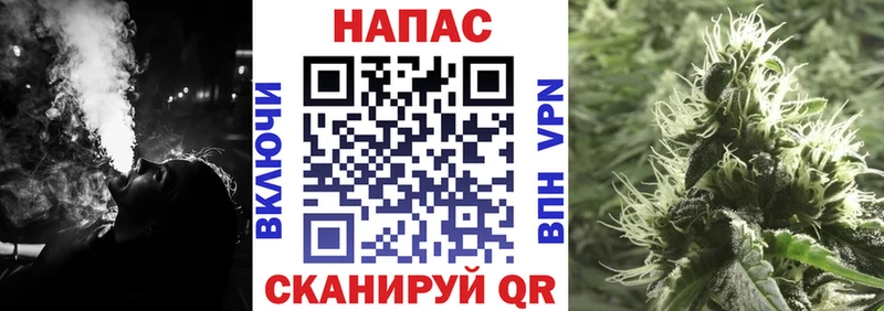 Шишки марихуана гибрид  сколько стоит  Фатеж 